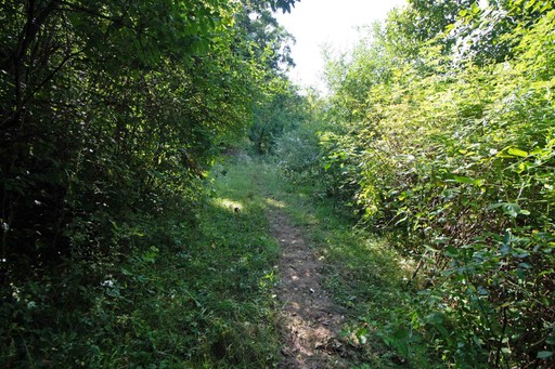 Photo 7 of 40 Acres County Hwy H, Ridgeway
