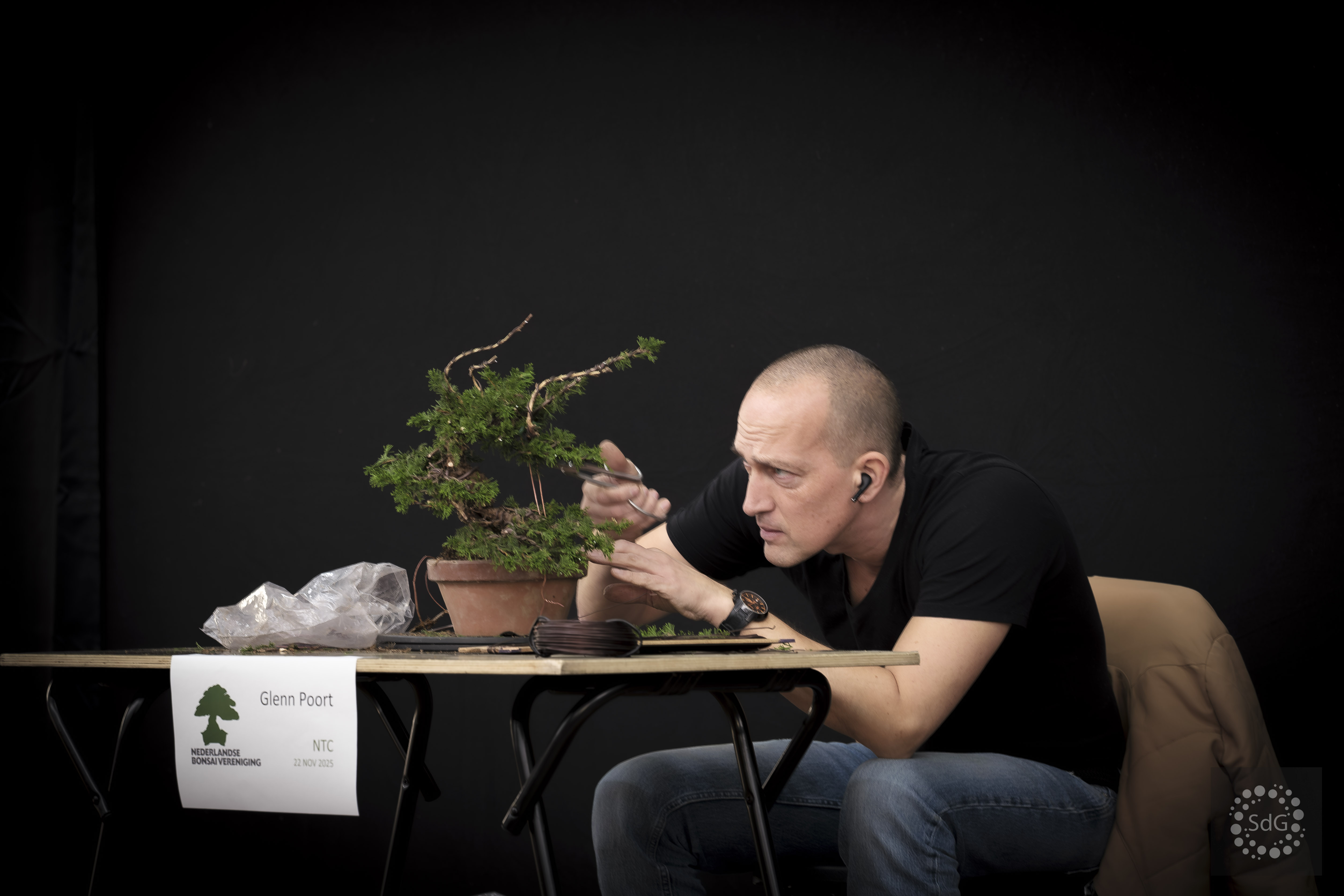man die aan bonsai boom werkt