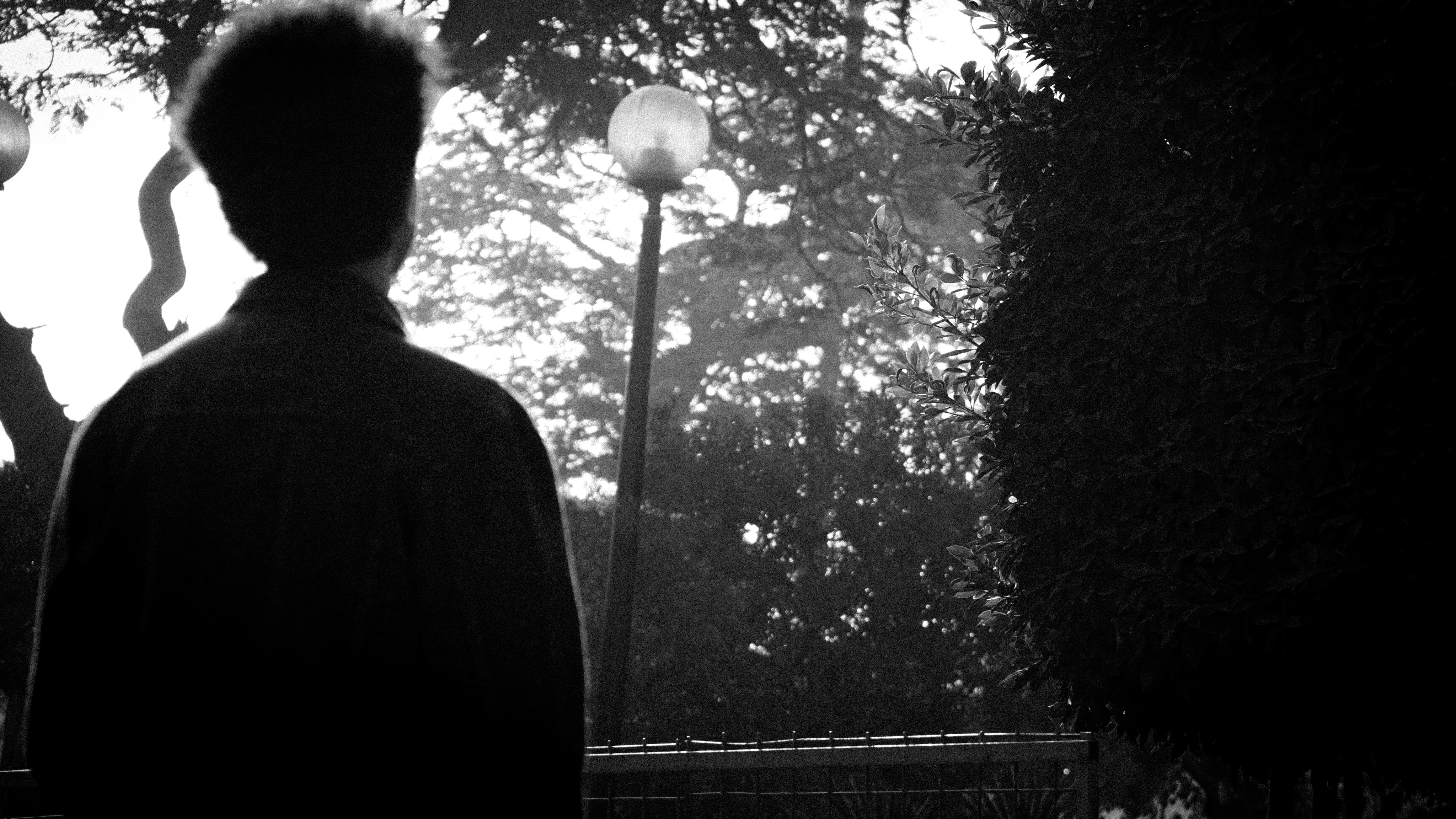 Service Photo Real Mehedi Free Framer Template Photography