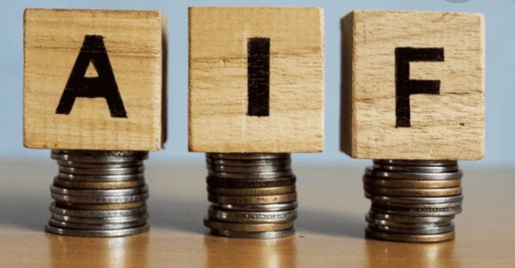 Close-up of lush, dark green leaves, some glossy and wet, against a muted background.