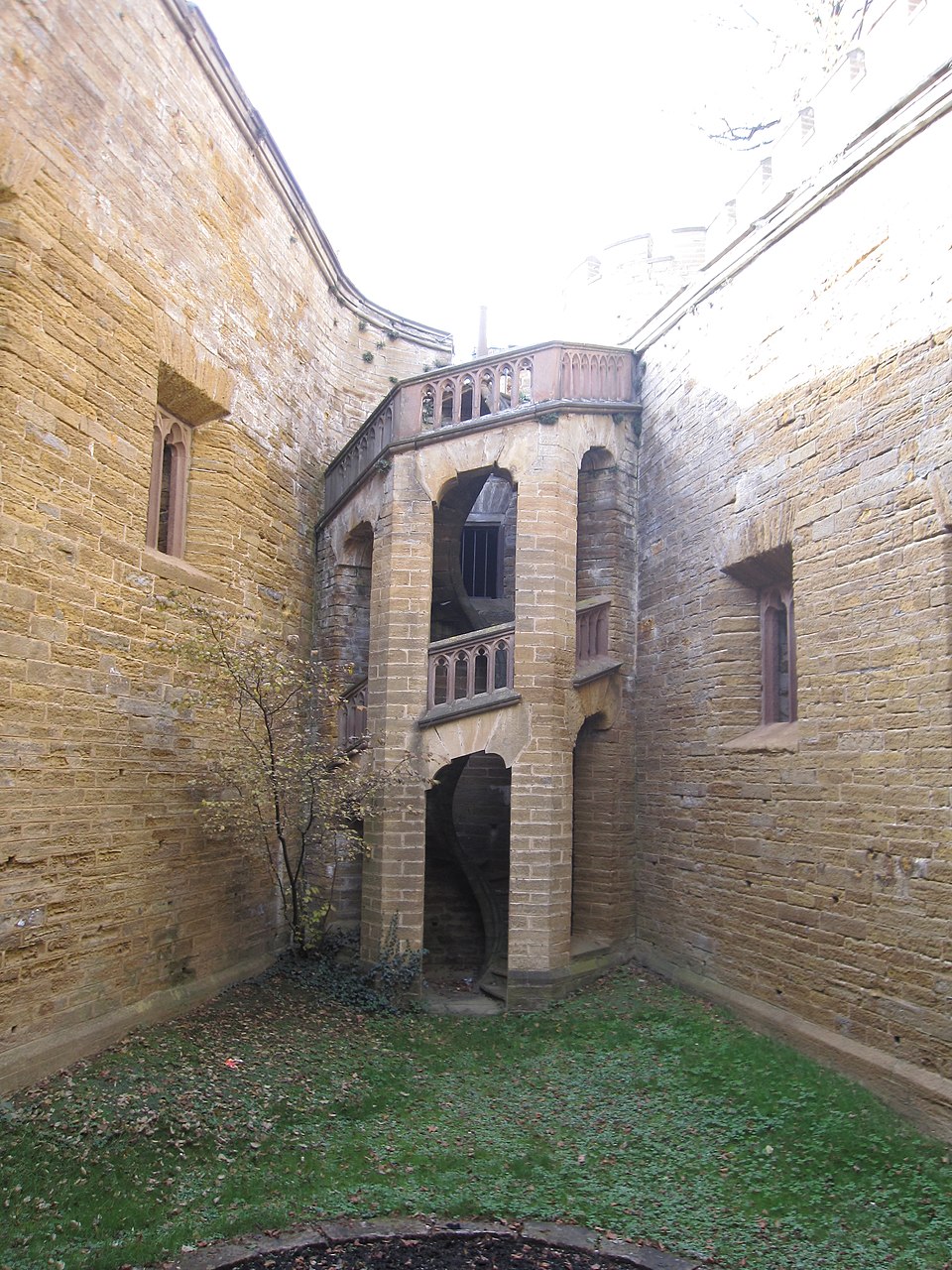 a tree with pink flowers in front of a store