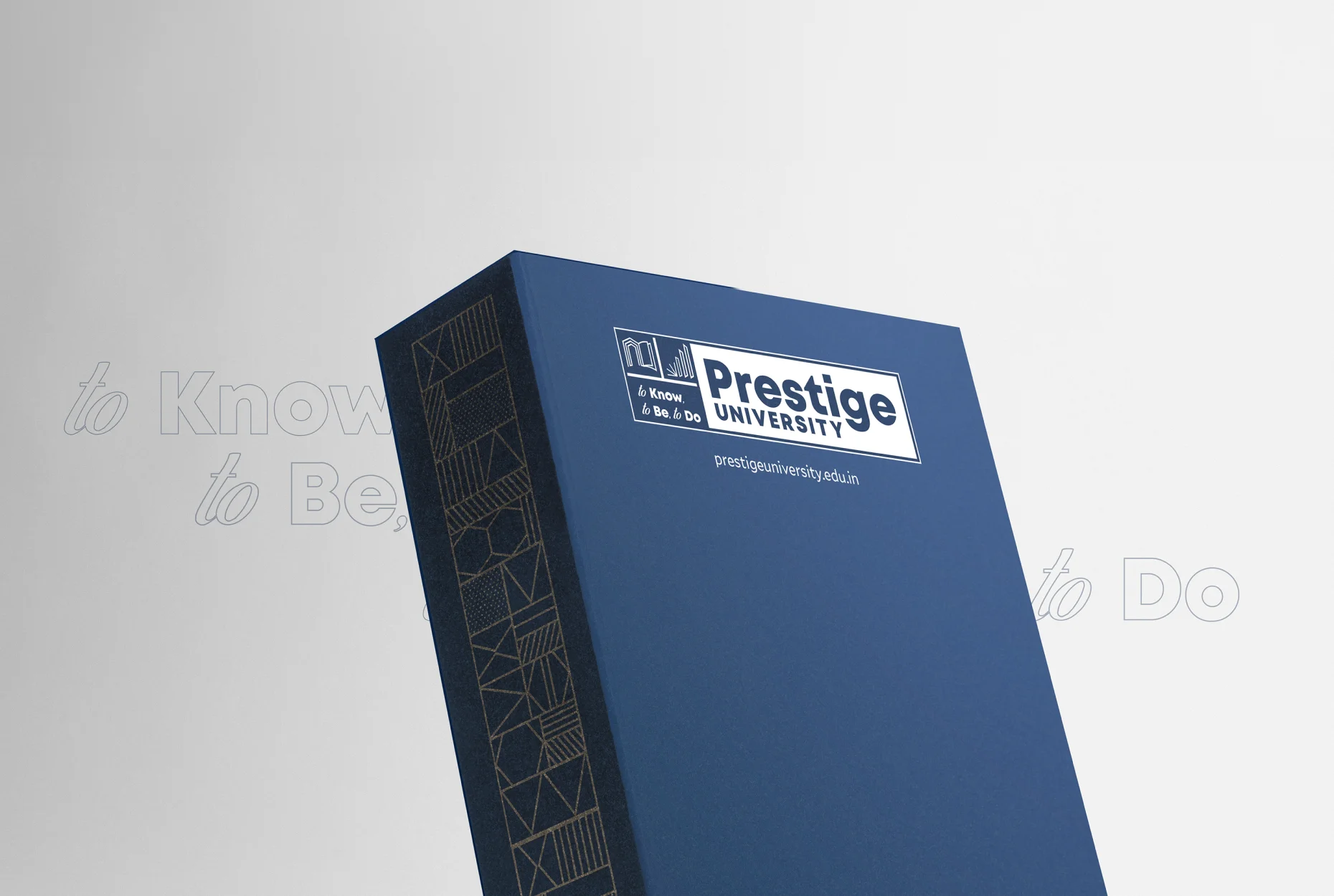 Woman Look Into The Camera