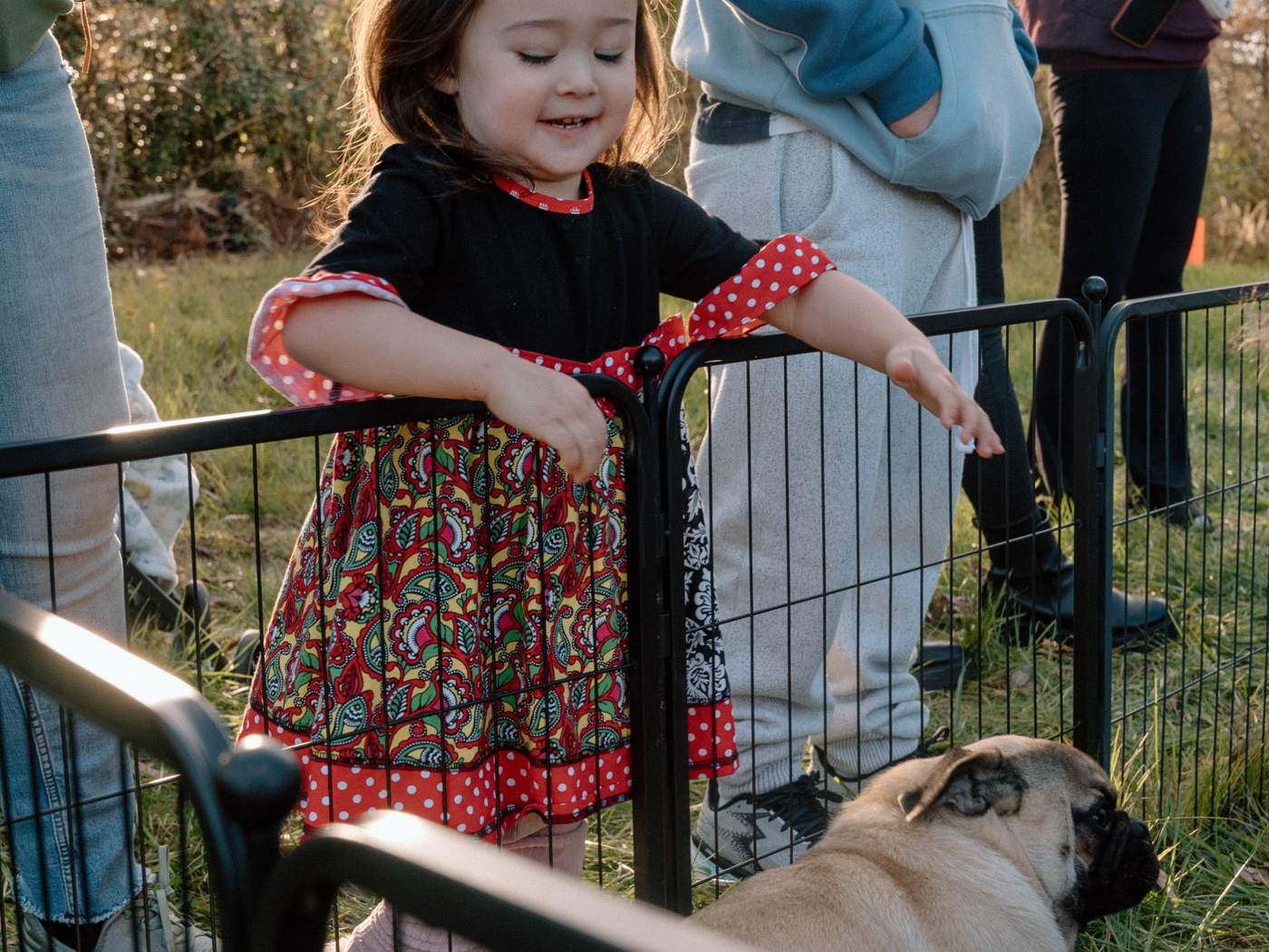 A little girl meeting the puppies at Christmas Fest