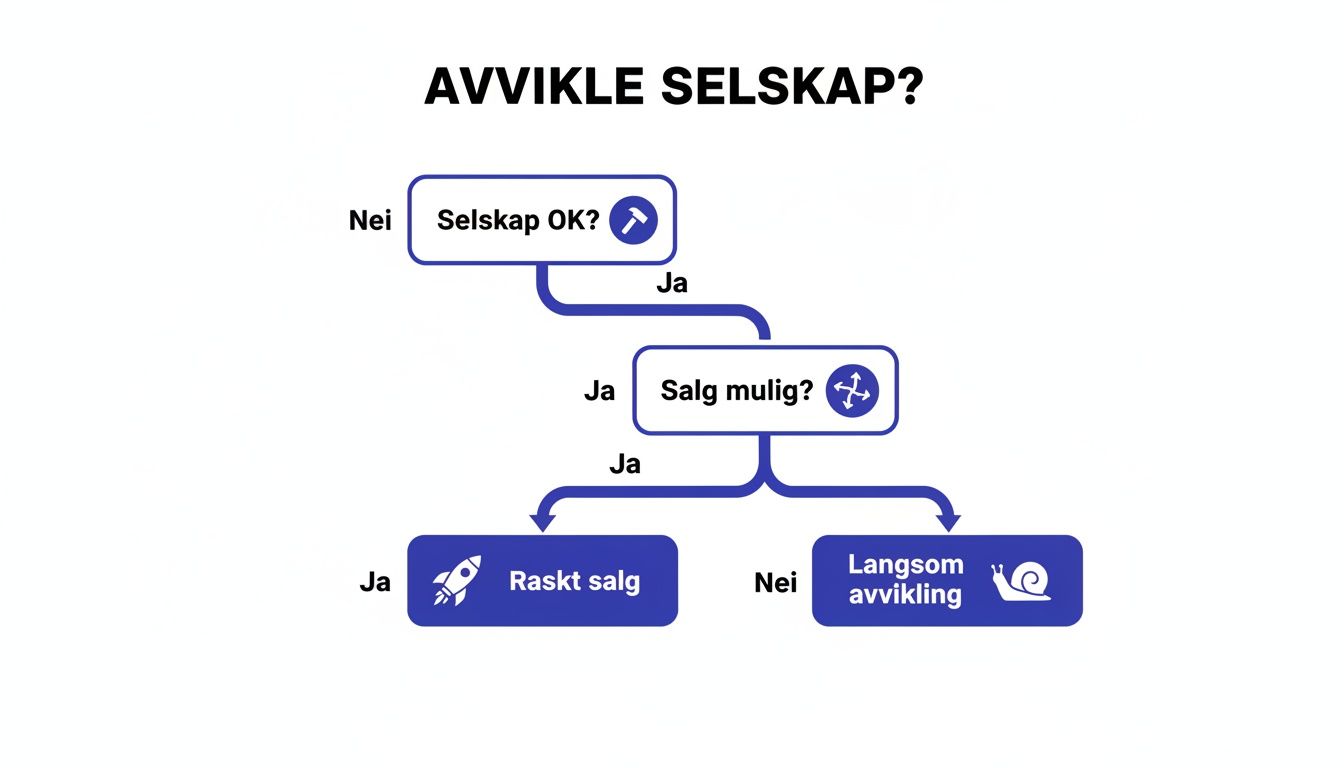 Flytdiagram som viser beslutningsprosessen for avvikling av et selskap, fra å sjekke status til salgsmuligheter og utfall.
