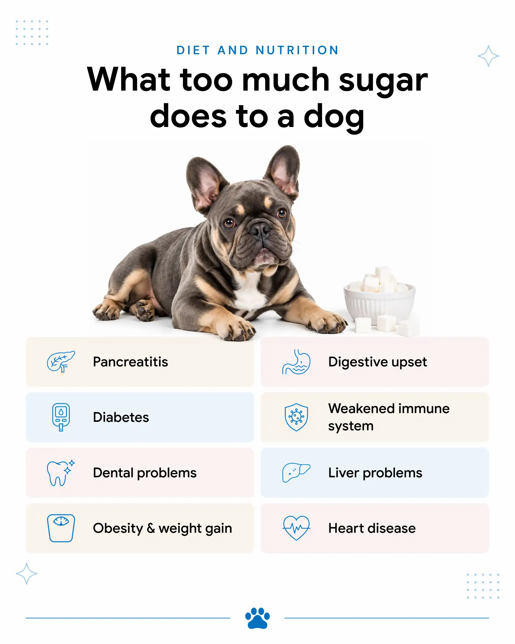 Effects of Too Much Sugar in Dogs