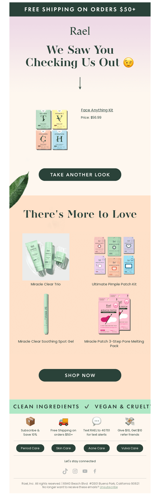 Rael browse abandonment email featuring skincare products like the Face Anything Kit, a personalised message We saw you checking us out, product recommendations, and a Shop Now button to re-engage customers