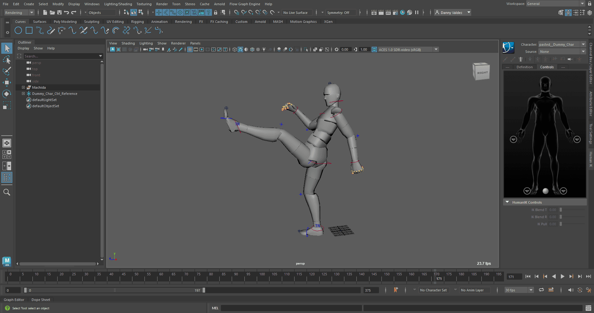 Gray Human model holding a front kick.
