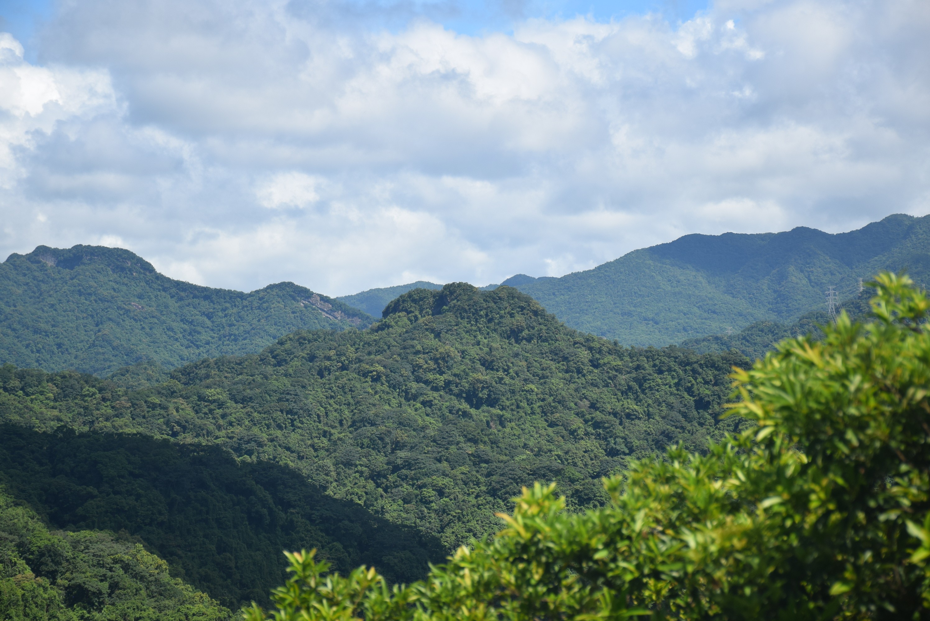 Group of men standing with Sufboard