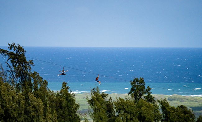 Dual racing zipliners soar over the tree canopy