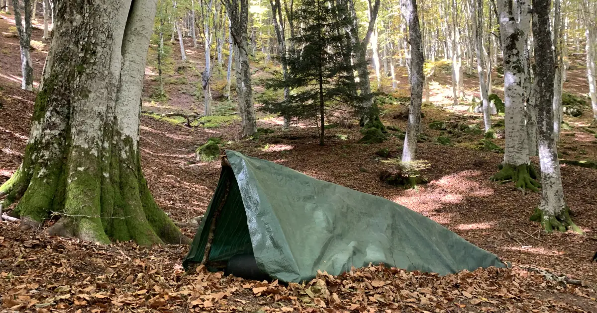 riparo di emergenza survival bushcraft e indigeno primitivo nella foresta in Toscana