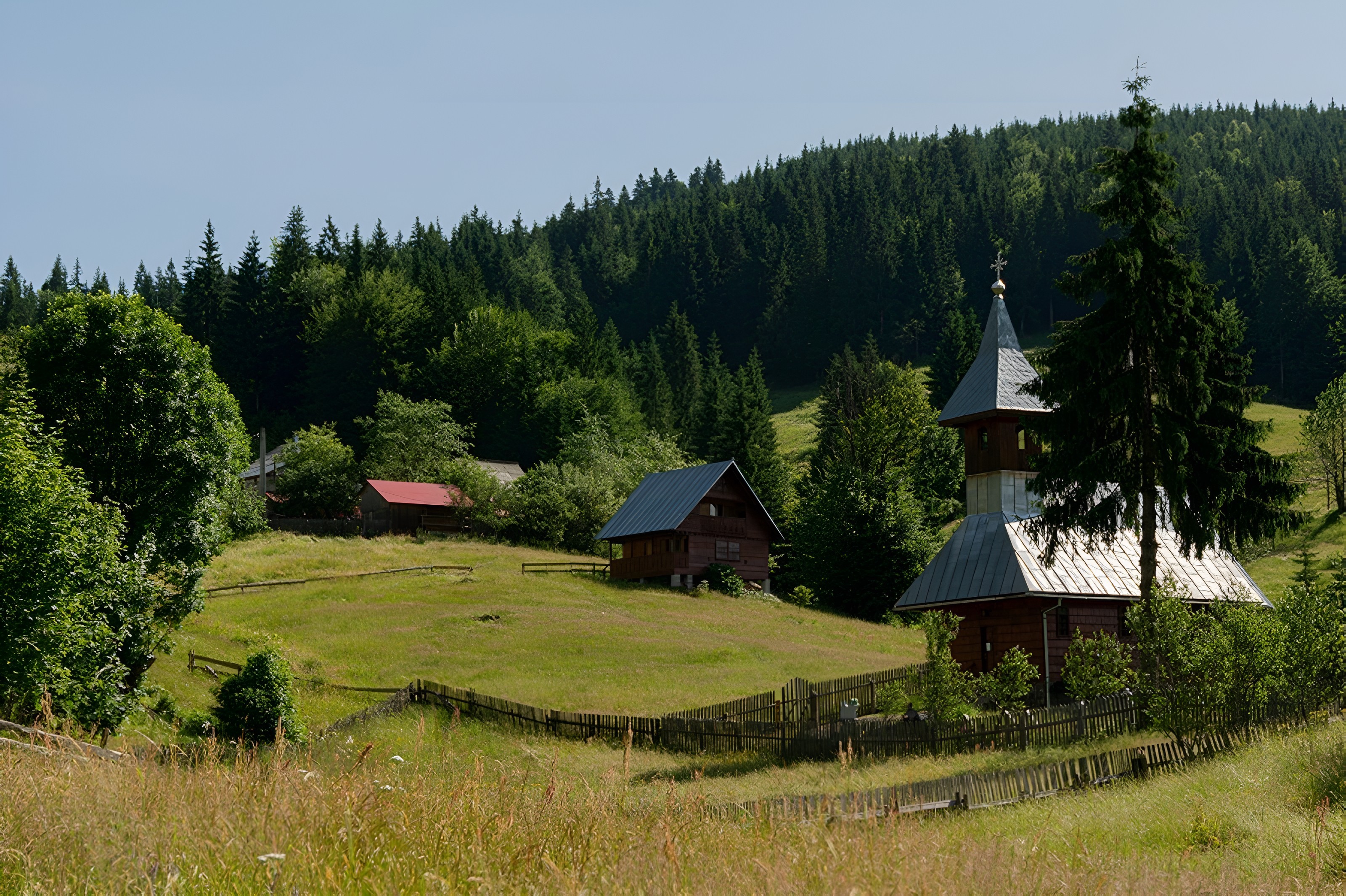 Wooden houses and a small church with a steeple in Scărișoara village, surrounded by green hills and dense pine forest.