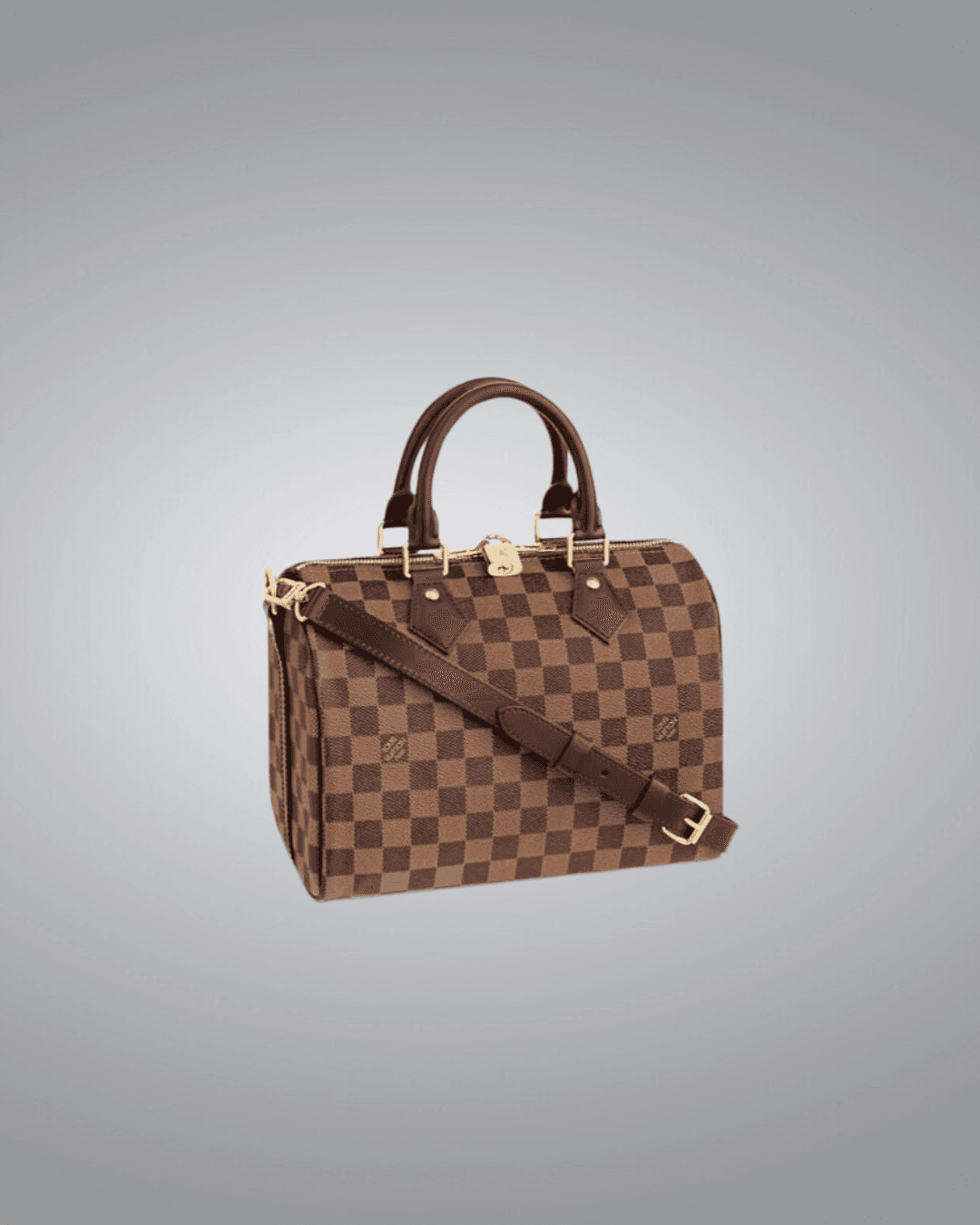 LV Speedy Handbag