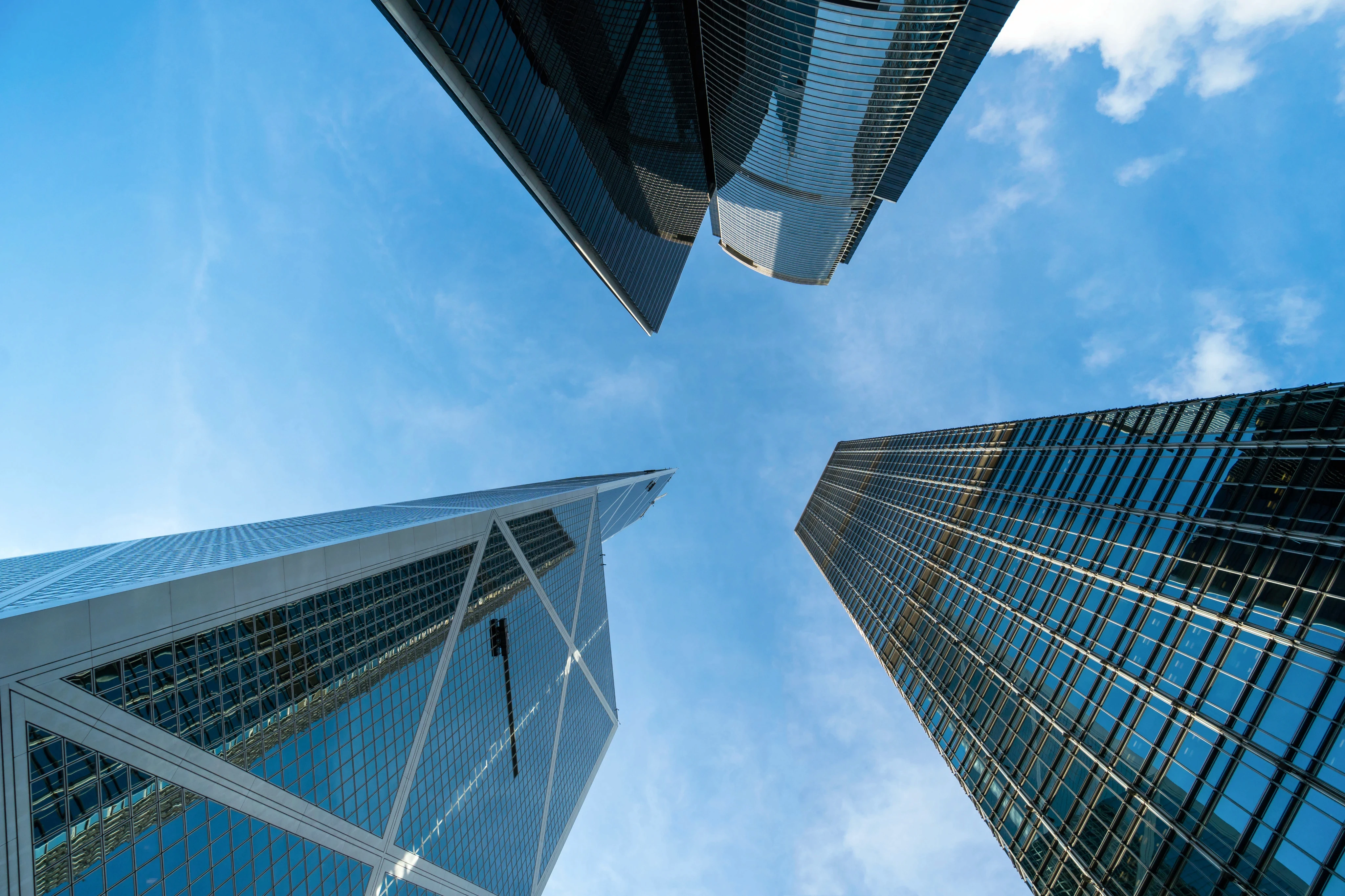 Lawyer portrait photo