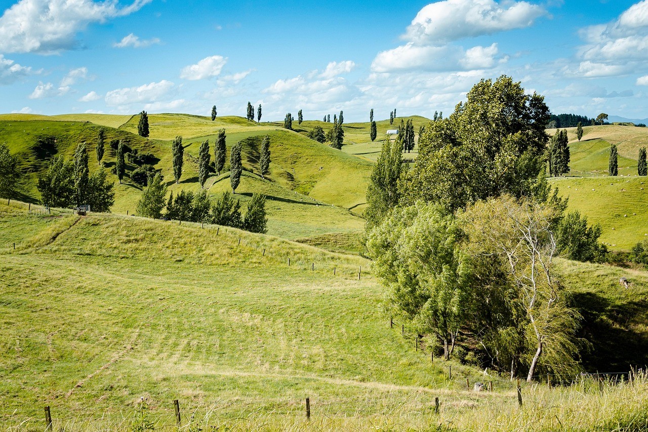 sejour immersion studway