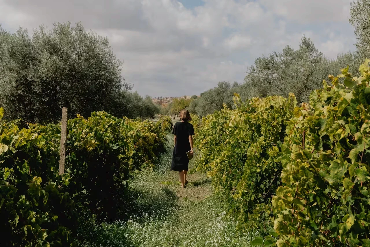 A woman in a black dress walks between rows of grapevines under a cloudy sky.