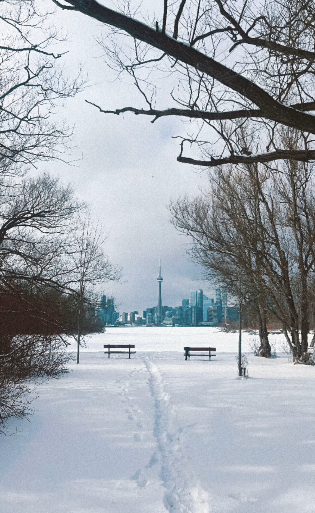 Snow Toronto