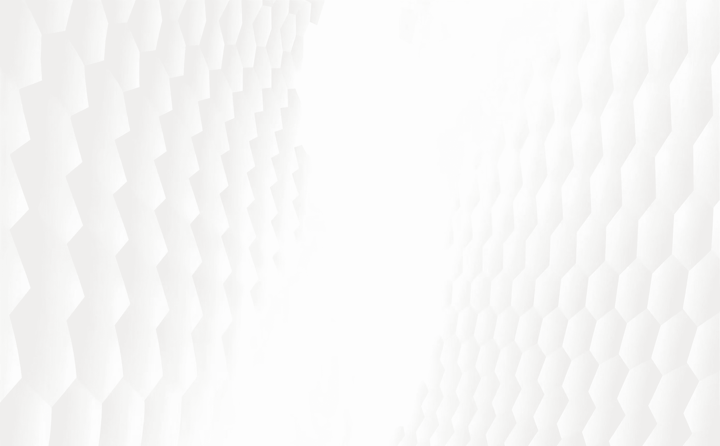 Back image
