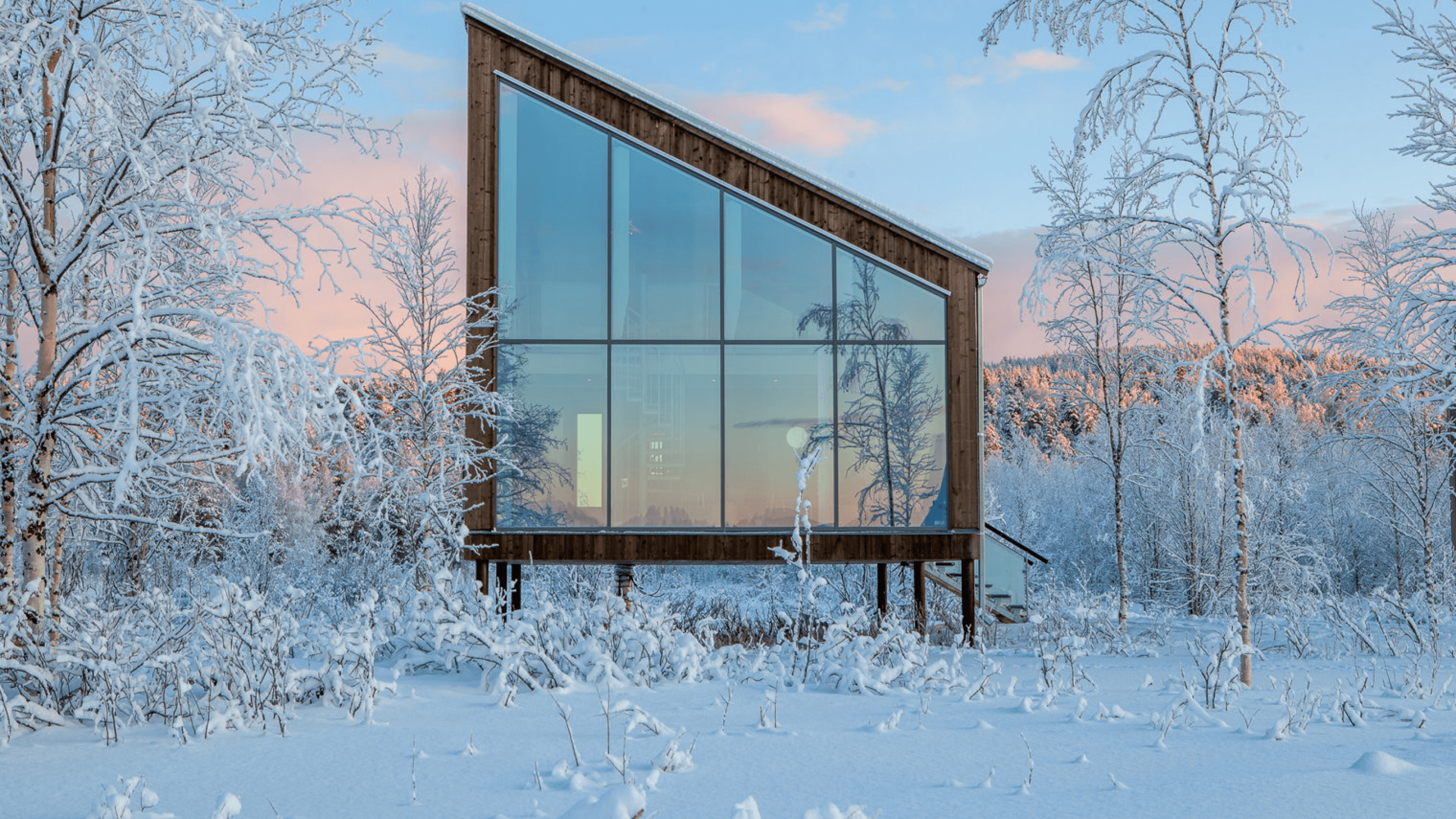 A cabin in the woods in pink light