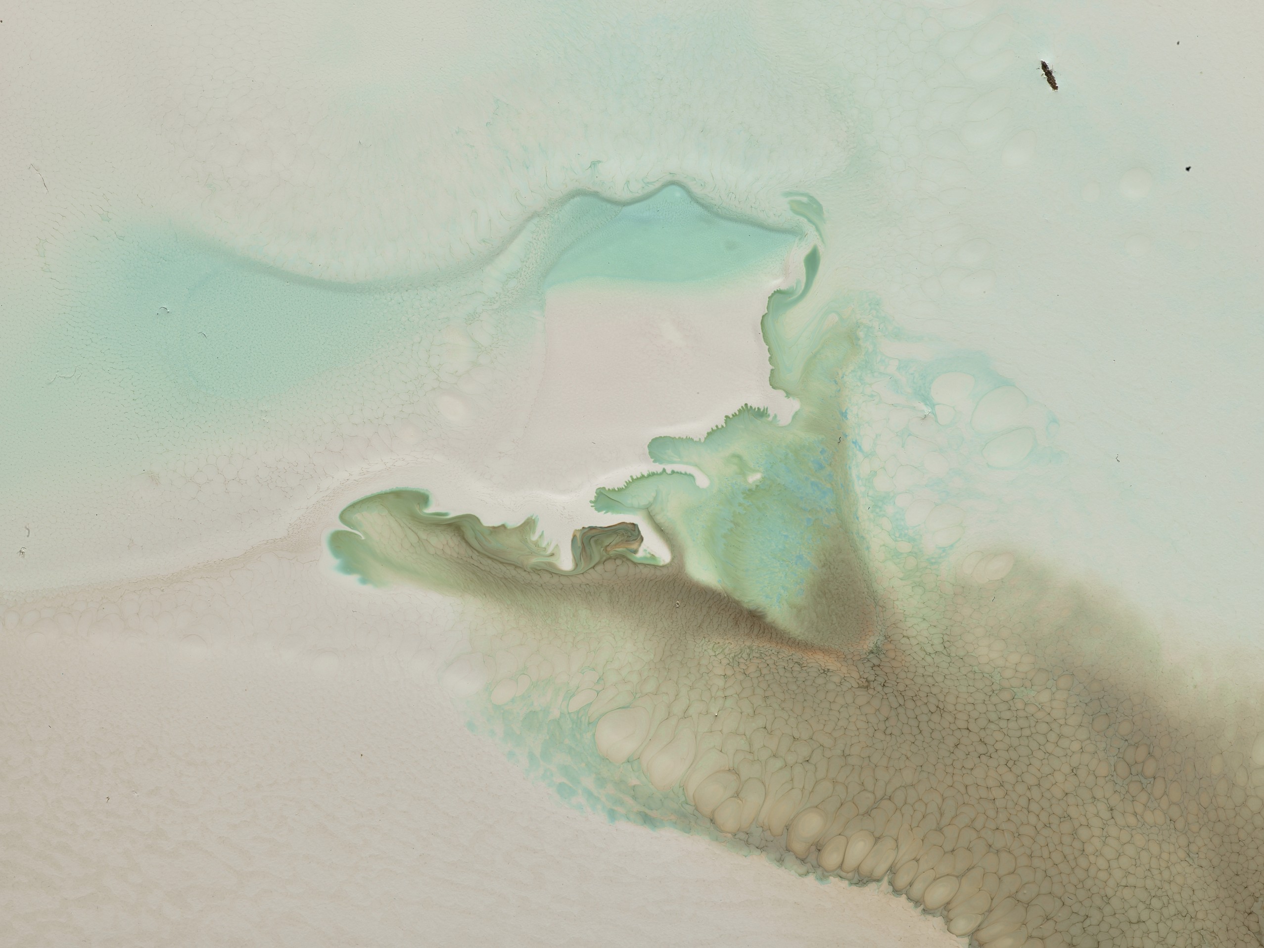 Echoes in&nbsp;Color Image #3