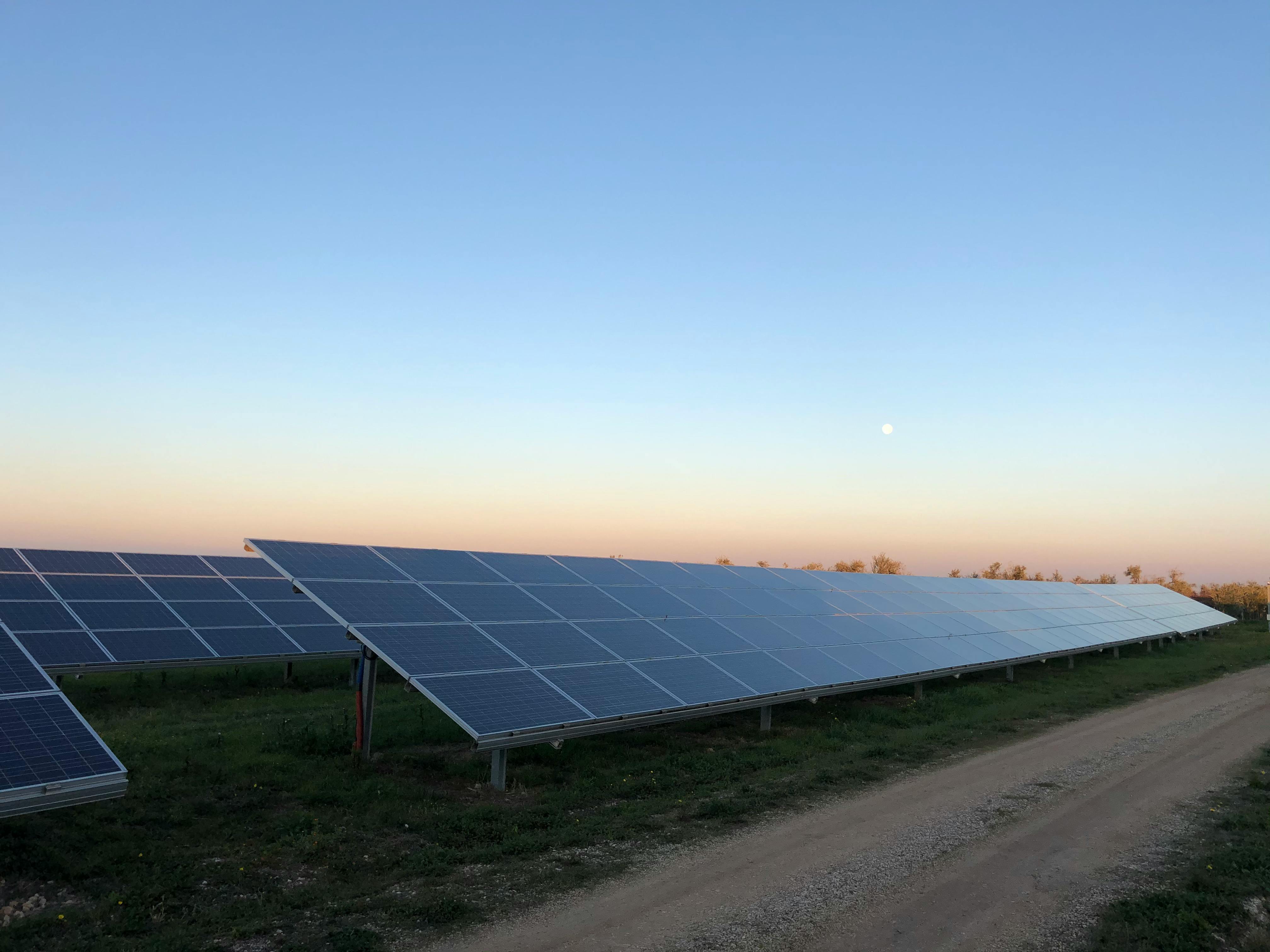 Solar Panel in a solar farm 