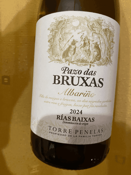 Review of wine Pazo das Bruxas Albariño 2024 from Familia Torres (Rías Baixas, Spain)