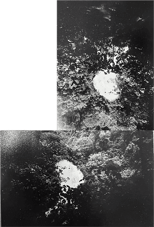 Ideograma #1, 45.7 x 30.9 cm, Ampliaciones impresas en plata gelatina sobre papel de resin