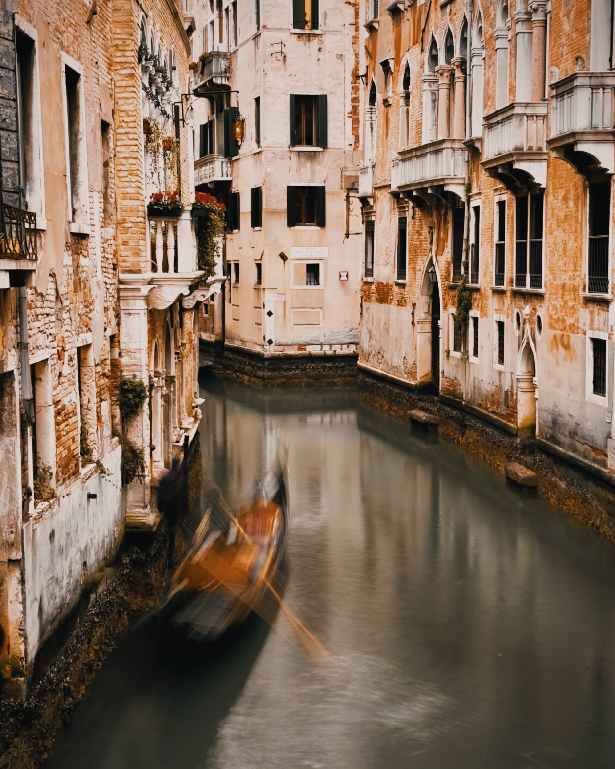 Vintage Car Under Palm Trees