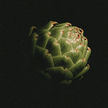 Artichoke