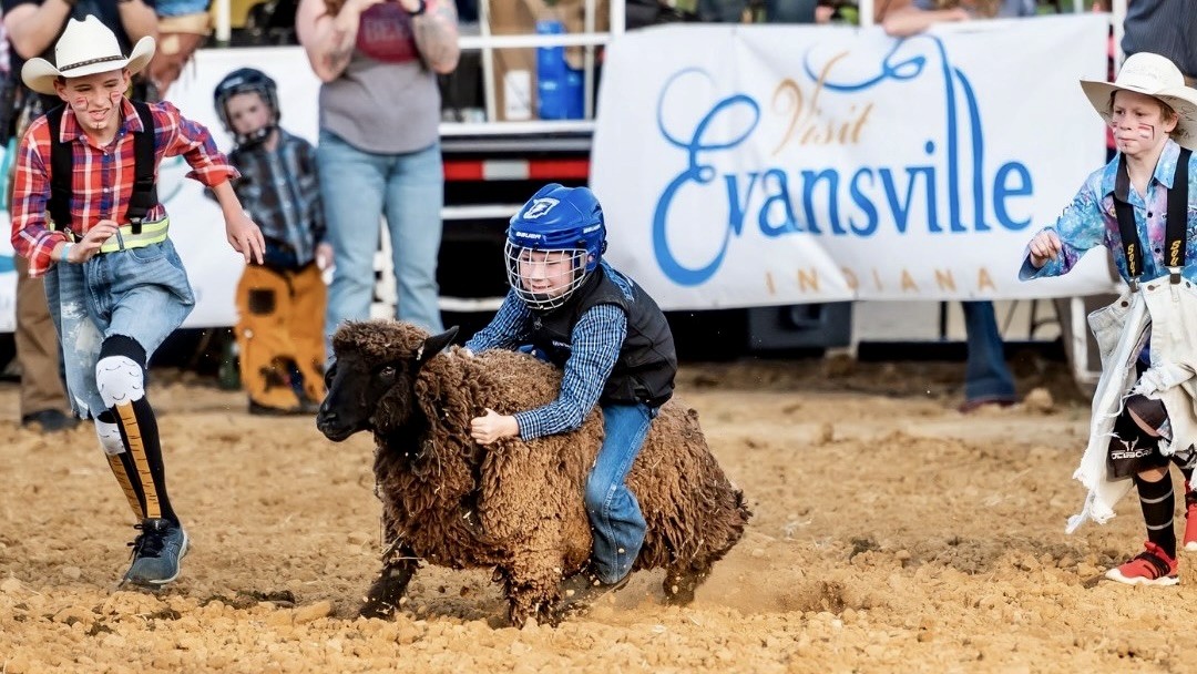 Young child riding a sheep during a mutton busting event at Evansville River City Rodeo.