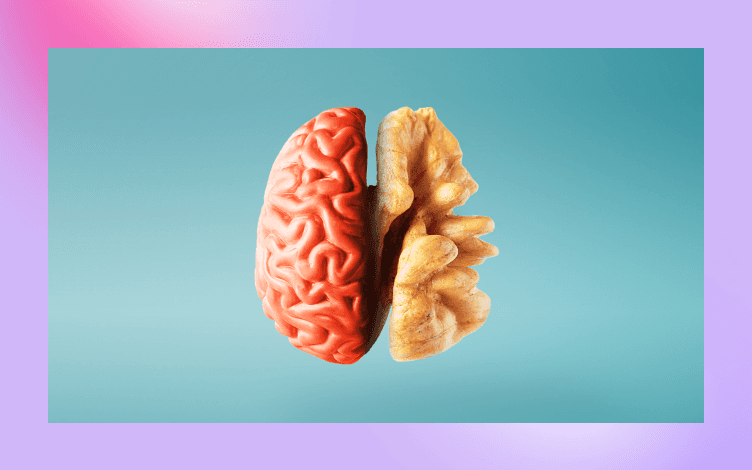 Short-term and Long-term Memory Discussed