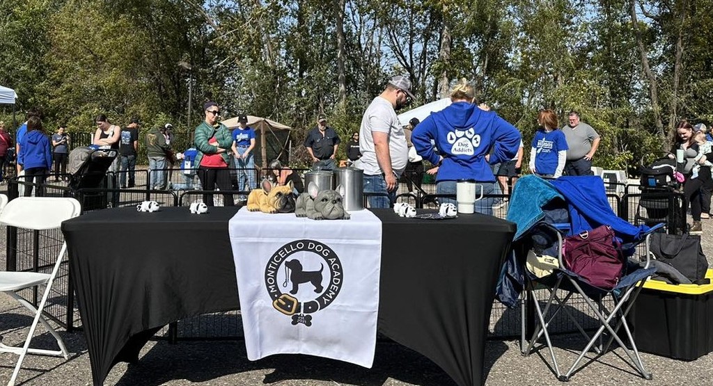 Someone petting dog's chin