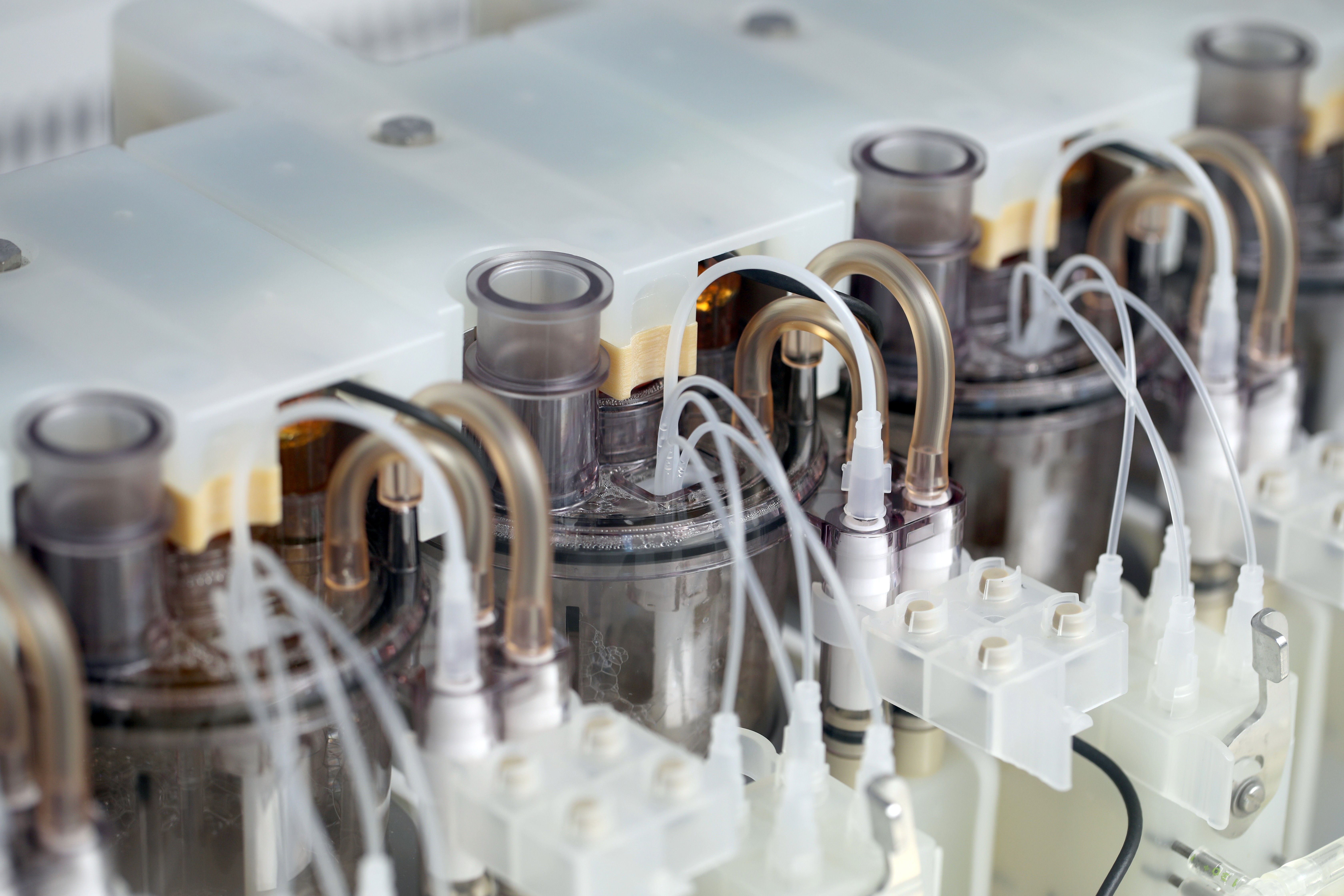 Food-grade investment sees CPI and Tees Valley lead the way in novel food innovation