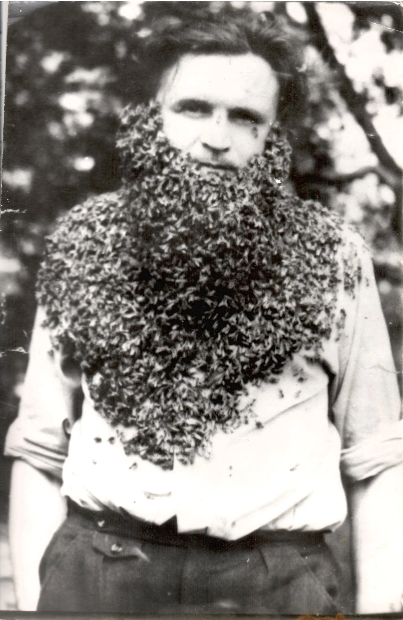 Bazsó András méhészeti hivatása