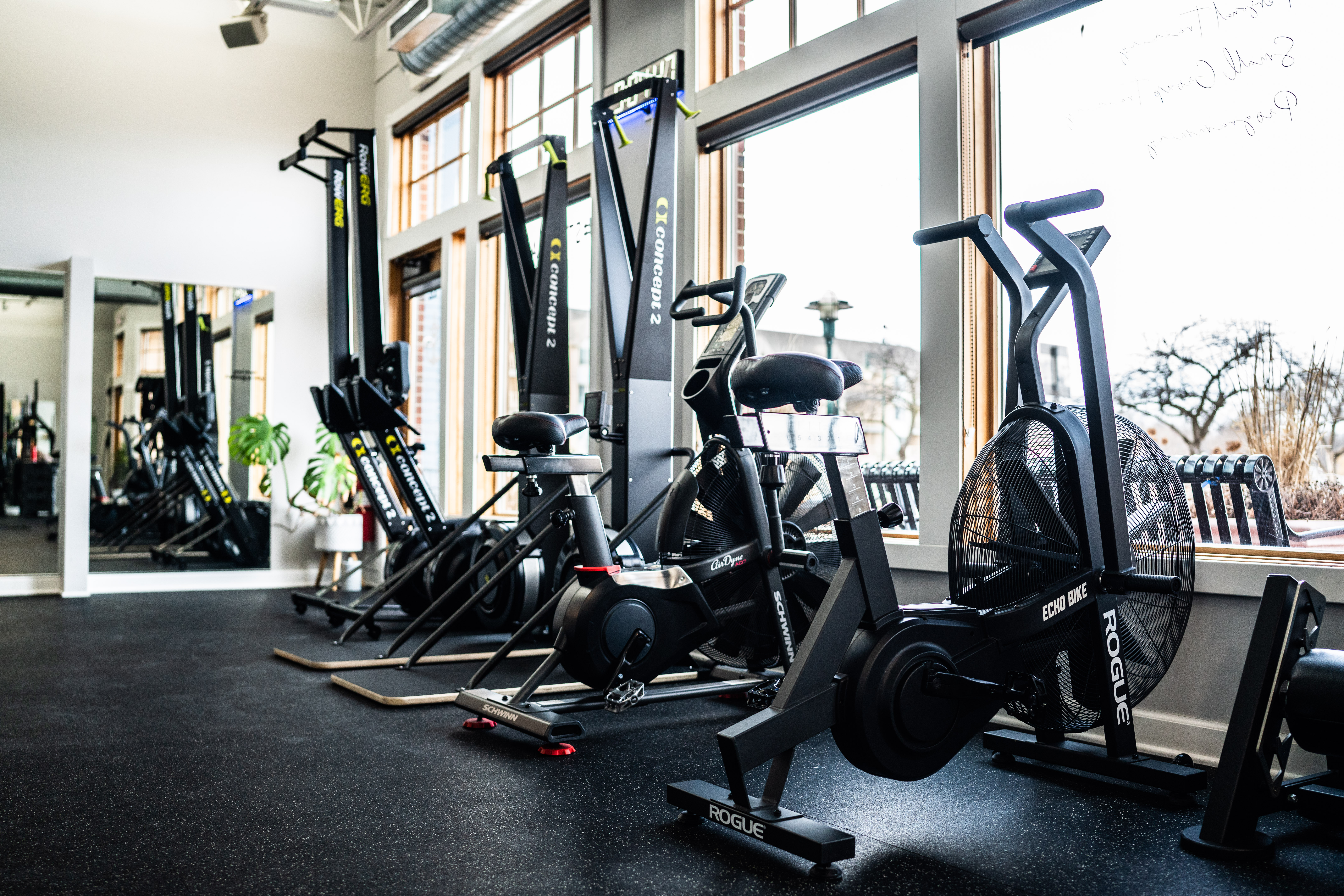 Gym Equipment.