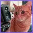 Profilbild von Rowan Hayes für Bewertungen auf unserem ai-Linkedin-Fotogenerator