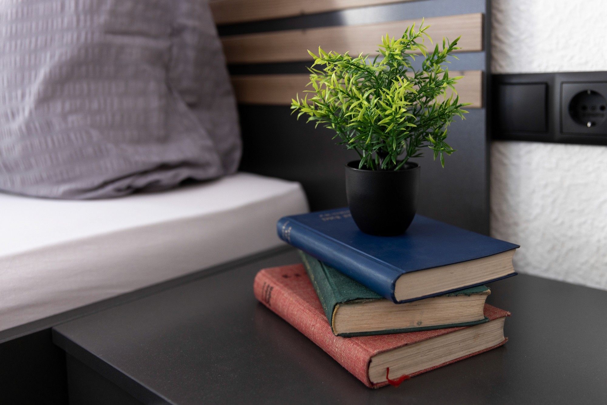 Eine kleine Topfpflanze steht auf einem Stapel aus drei Büchern mit blauen, grünen und roten Einbänden auf einem Nachttisch neben einem grauen Kissen.
