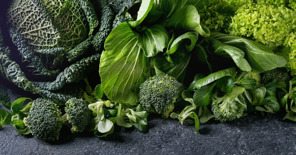 Vitamin K is a vitamin crucial for blood clotting and bone health.