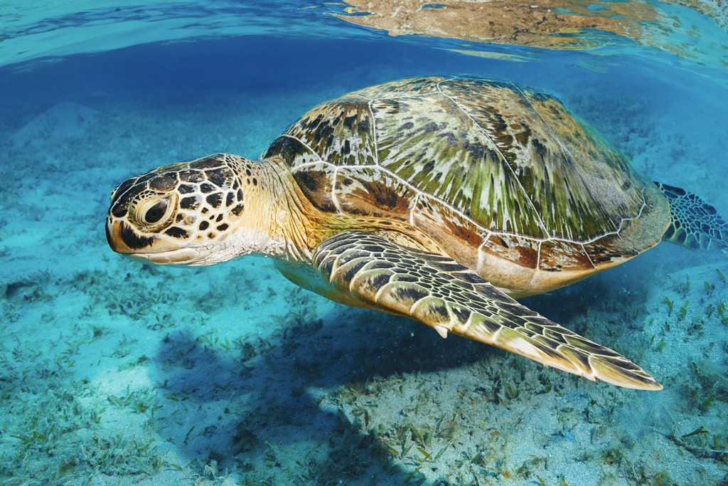 A large body of water with a bunch of boats in it