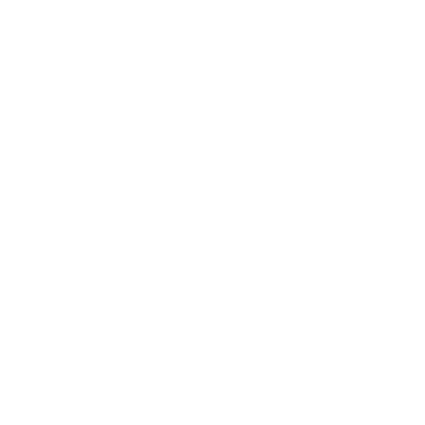 Time Capsule logo