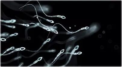 WHO: Sperm density decreased 50% in the past 50-60 years