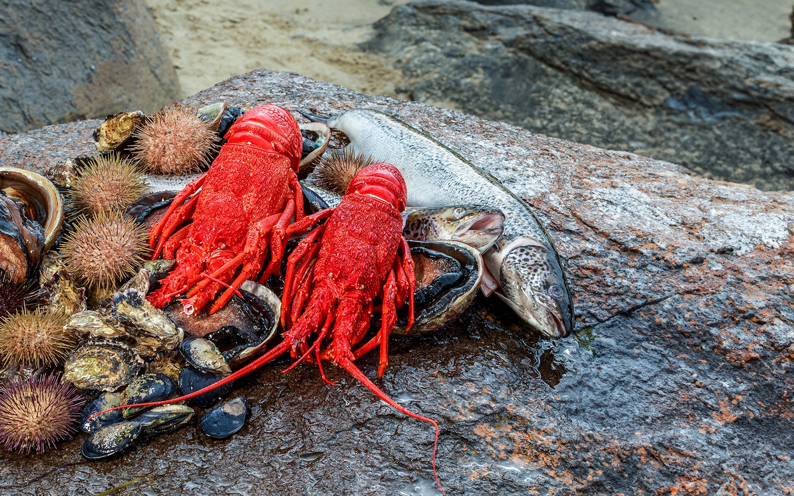 塔斯马尼亚新鲜海鲜,包括龙虾、鲍鱼和鱼类,在崎岖的海岸线上。
