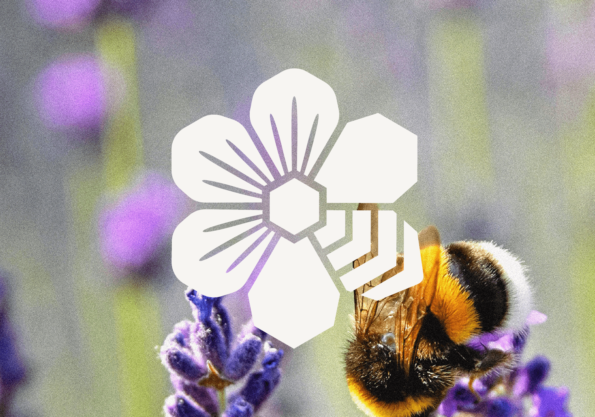 Core logo on photograph of bee