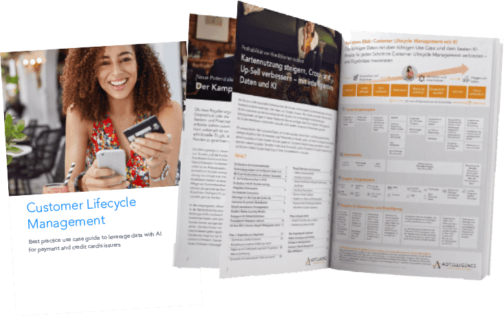 ACCELERAID Whitepaper: Customer Lifecycle Management für Kreditkarten — kostenlos
