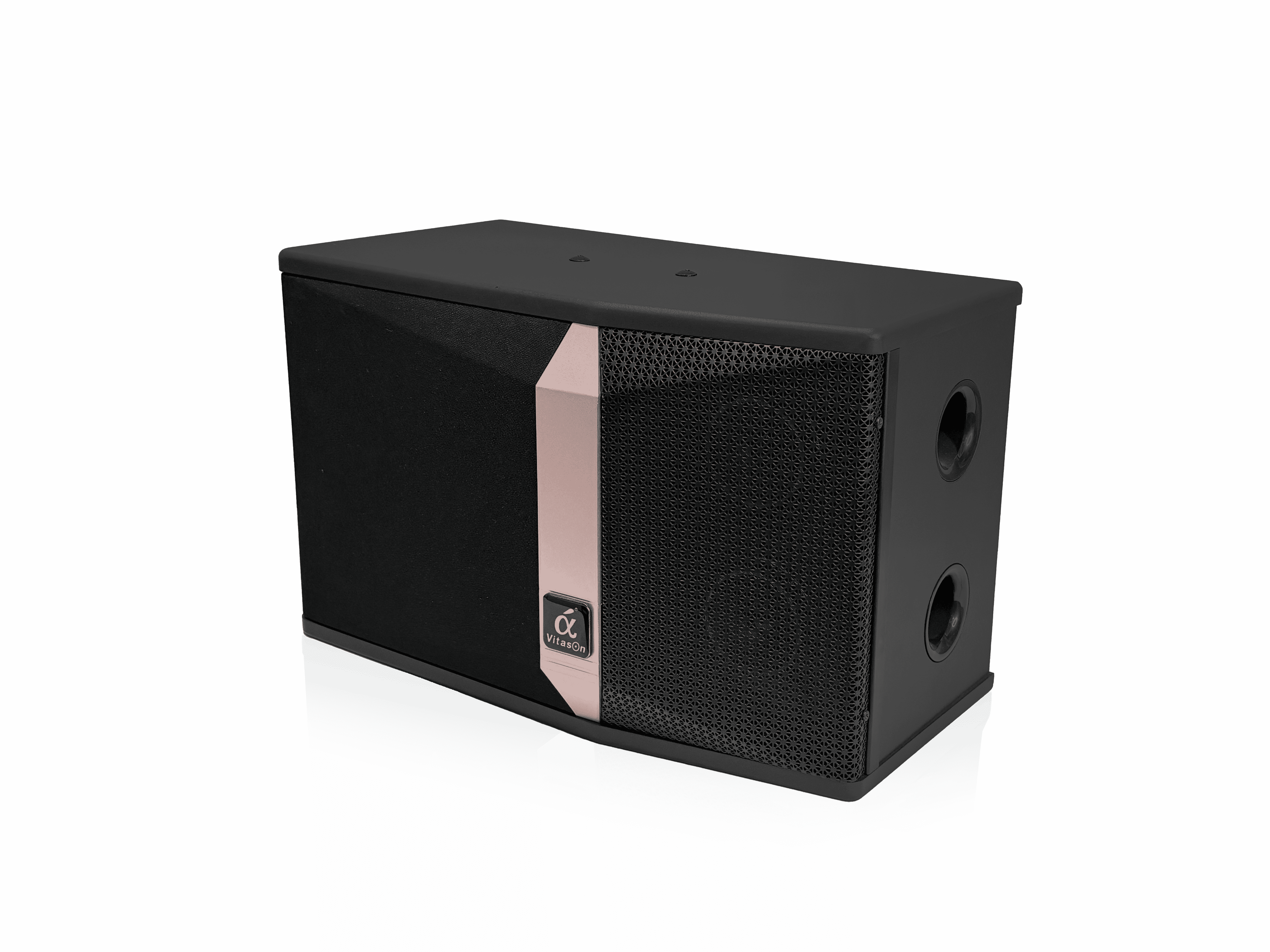 Vitason Professional Speaker VK-800