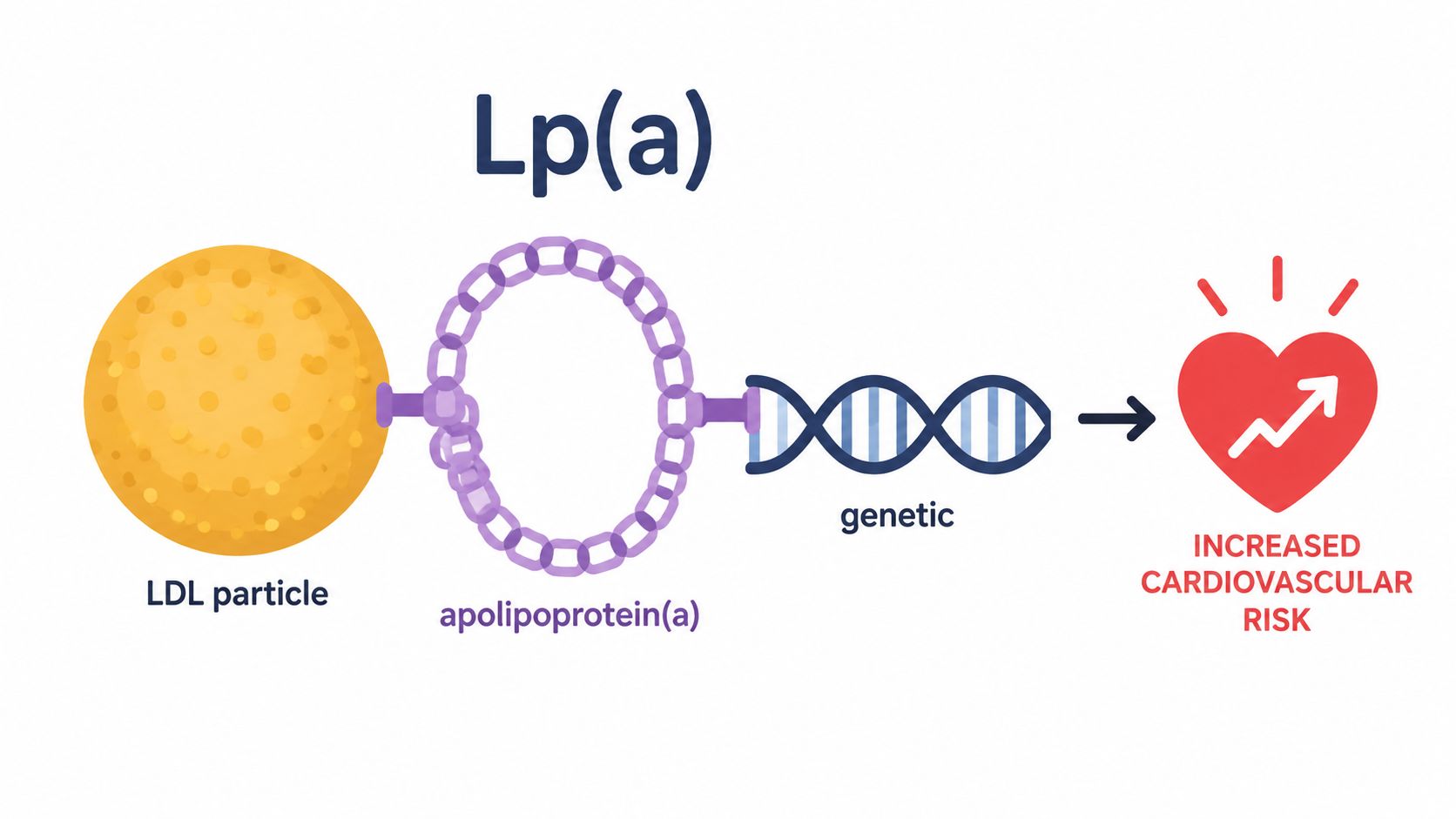 Examples of biomarkers Lp(a) particle diagram