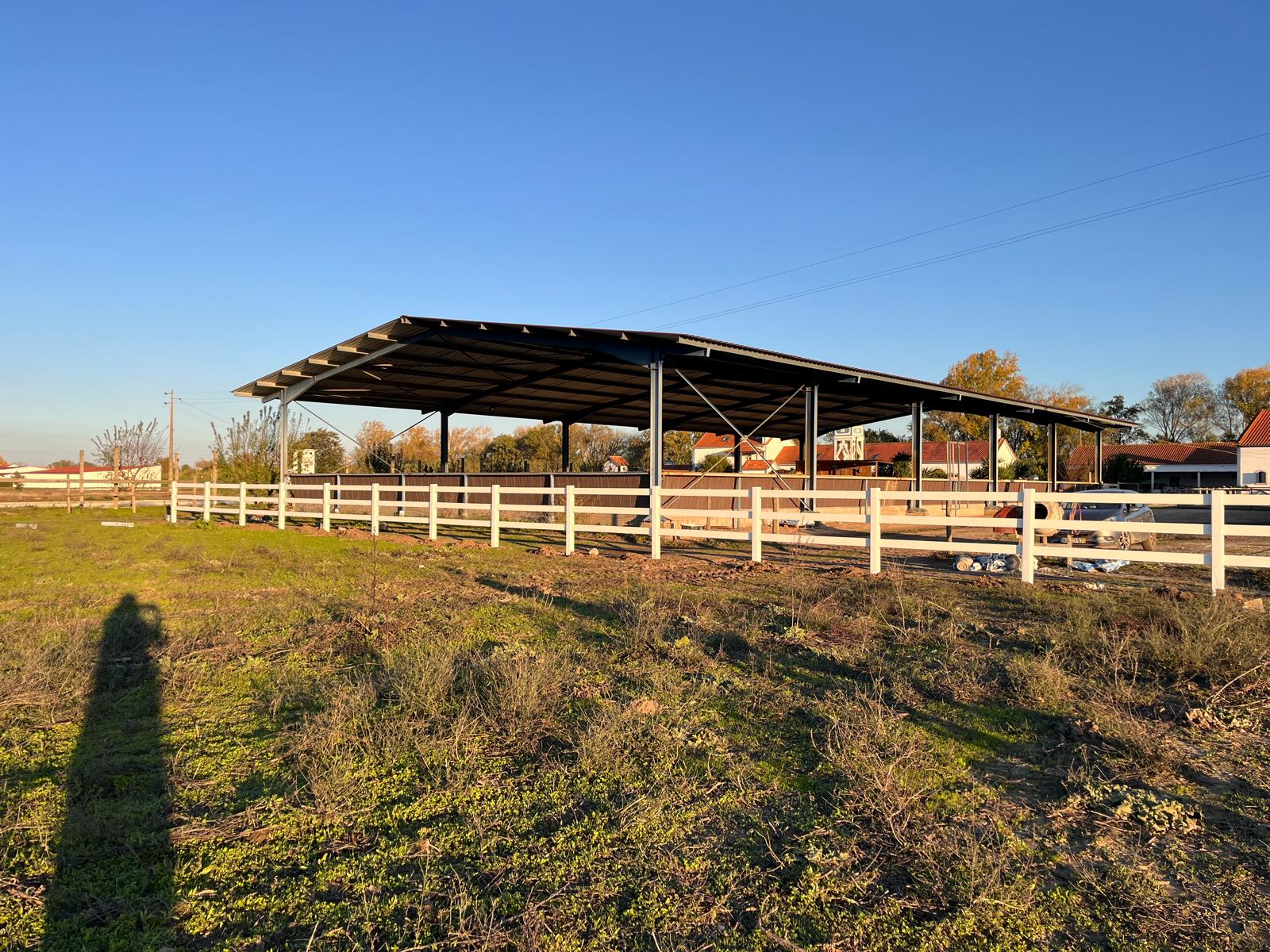green and brown field during daytime