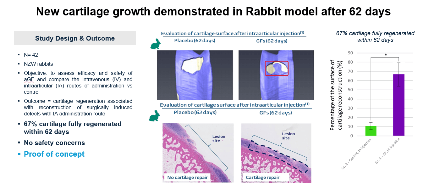 image of a scientist observing a sample