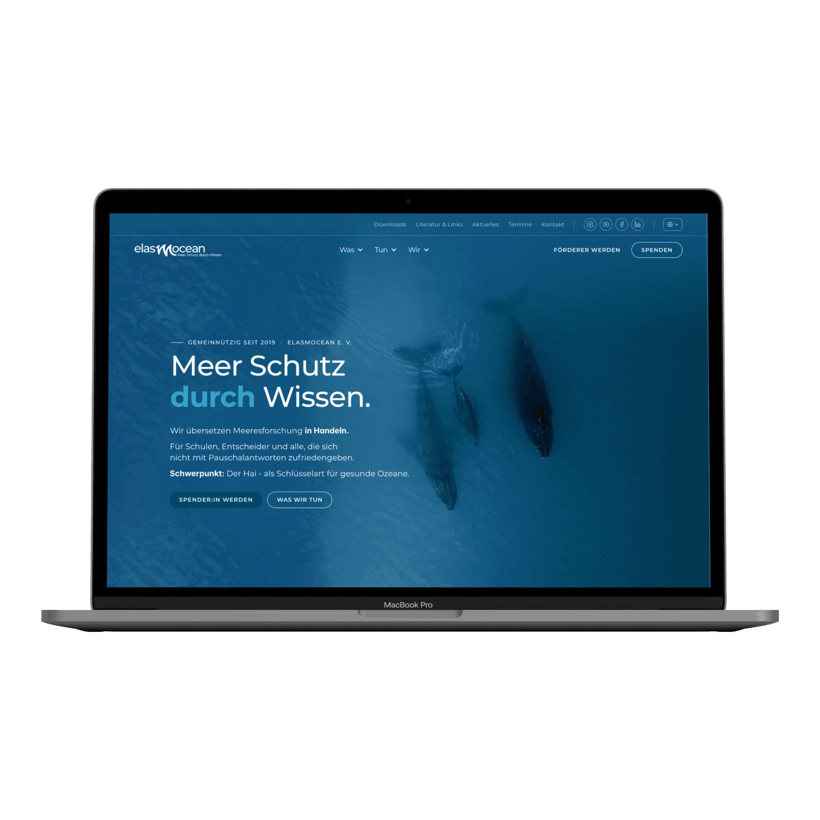 ElasmOcean-Startseite auf einem MacBook