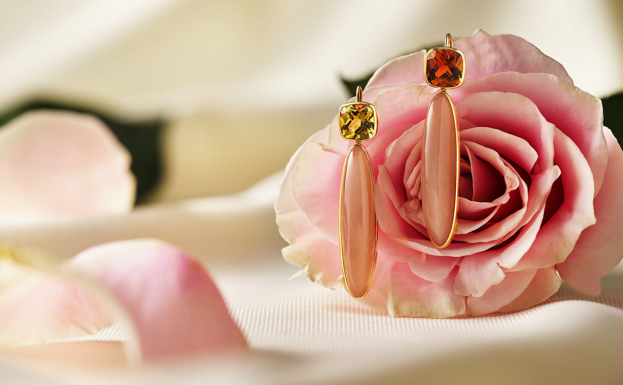 Close-up of a soft pink rose nestled among delicate rose petals, with gentle warm lighting enhancing its beauty.