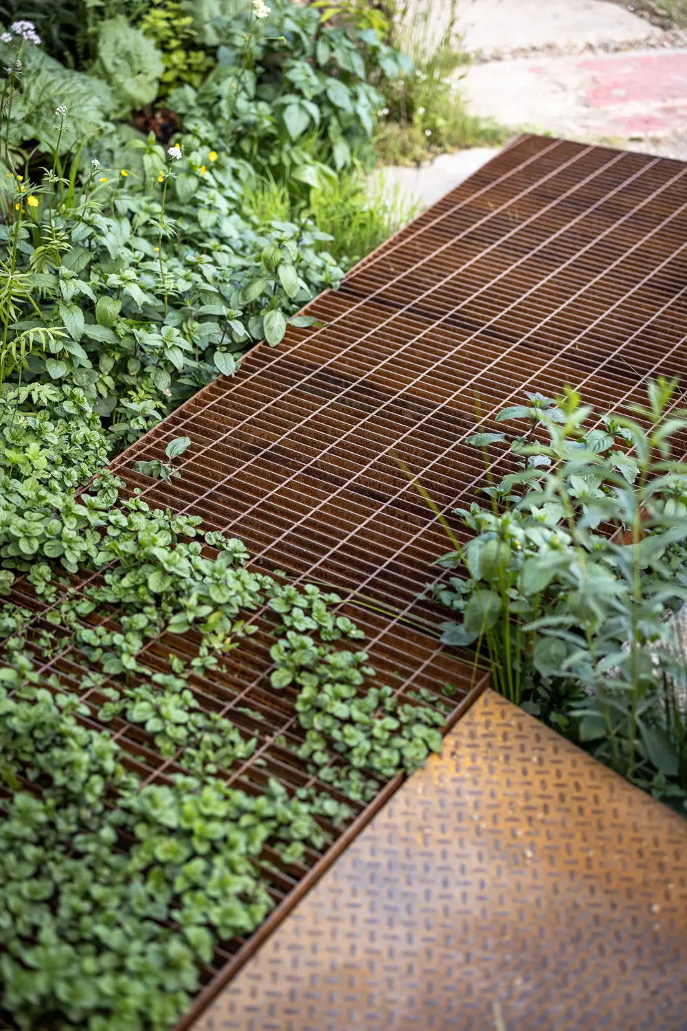 Wooden deck panels intersecting with lush greenery in a garden setting.